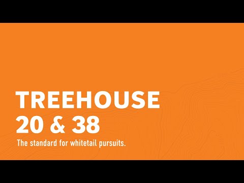 Treehouse 38